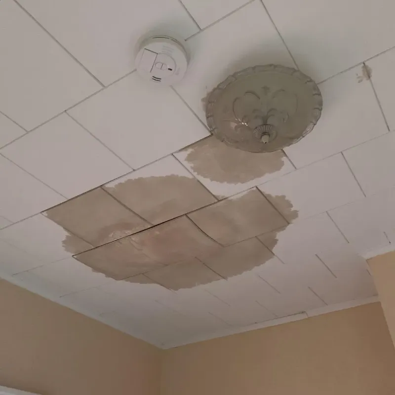 Ceiling Water Damage Repair in Caldwell County, KY