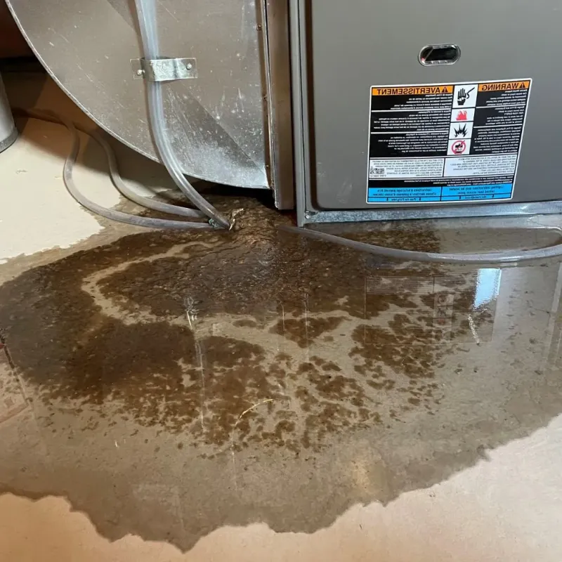 Pipe Burst and Leak Restoration in Caldwell County, KY